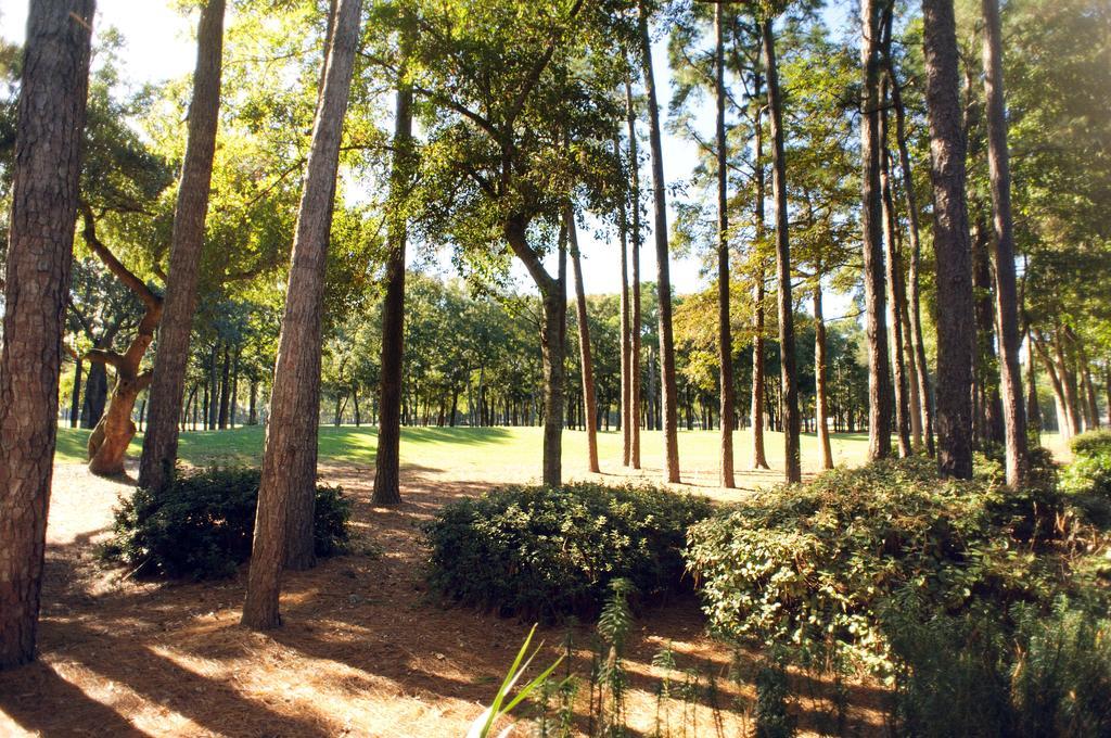 Pawleys Plantation Golf & Country Club Hotel Pawleys Island Bagian luar foto