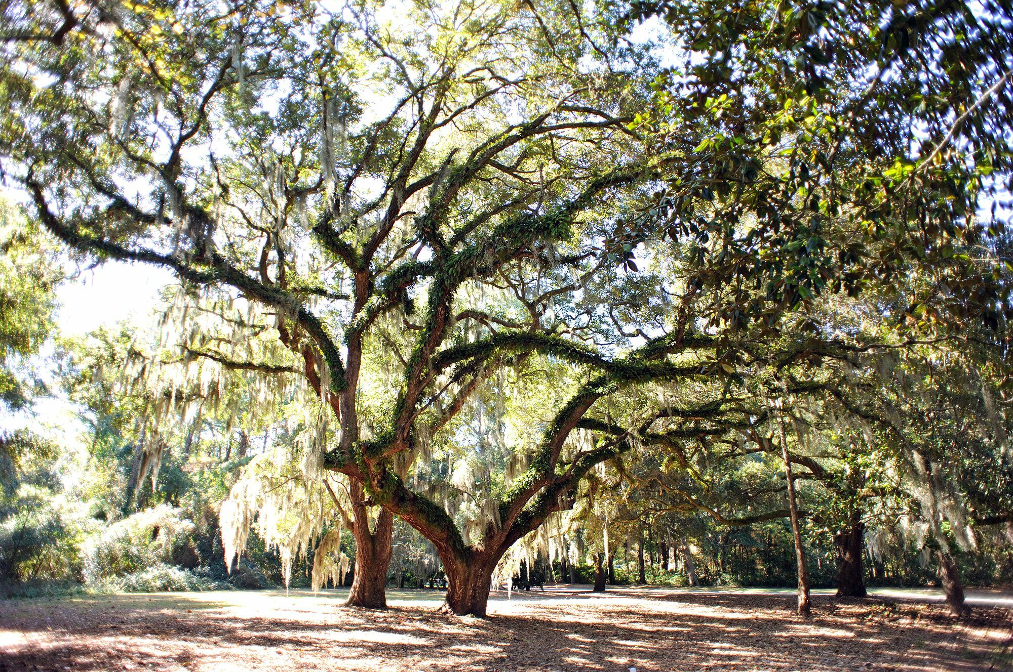 Pawleys Plantation Golf & Country Club Hotel Pawleys Island Bagian luar foto